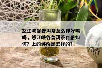 怒江峡谷普洱茶怎么样好喝吗，怒江峡谷普洱茶口感如何？上的评价是怎样的？