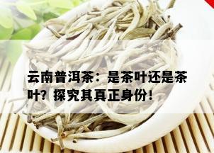 云南普洱茶：是茶叶还是茶叶？探究其真正身份！