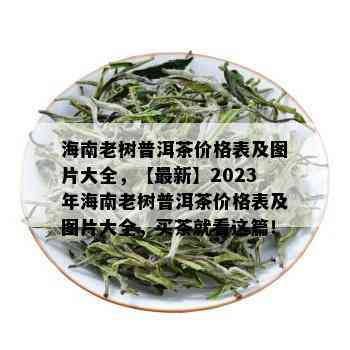 海南老树普洱茶价格表及图片大全，【最新】2023年海南老树普洱茶价格表及图片大全，买茶就看这篇！