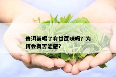 普洱茶喝了有甘蔗味吗？为何会有苦涩感？