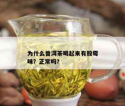 为什么普洱茶喝起来有股霉味？正常吗？