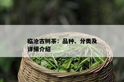 临沧古树茶：品种、分类及详细介绍