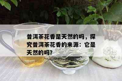 普洱茶花香是天然的吗，探究普洱茶花香的来源：它是天然的吗？