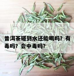 普洱茶碰到水还能喝吗？有吗？会中吗？