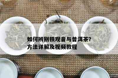 如何辨别铁观音与普洱茶？方法详解及视频教程