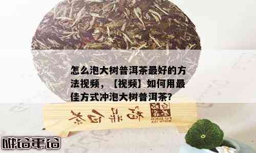 怎么泡大树普洱茶更好的方法视频，【视频】如何用更佳方式冲泡大树普洱茶？