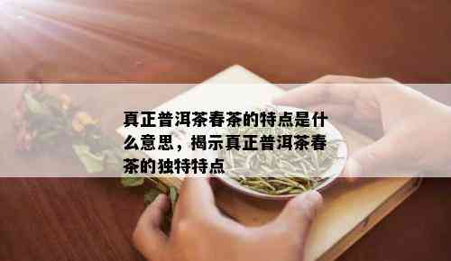 真正普洱茶春茶的特点是什么意思，揭示真正普洱茶春茶的独特特点