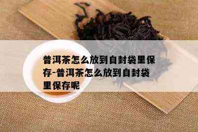 普洱茶怎么放到自封袋里保存-普洱茶怎么放到自封袋里保存呢