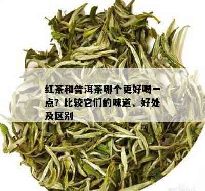 红茶和普洱茶哪个更好喝一点？比较它们的味道、好处及区别