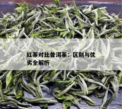 红茶对比普洱茶：区别与优劣全解析