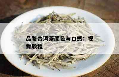 品鉴普洱茶颜色与口感：视频教程