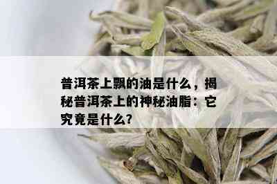 普洱茶上飘的油是什么，揭秘普洱茶上的神秘油脂：它究竟是什么？