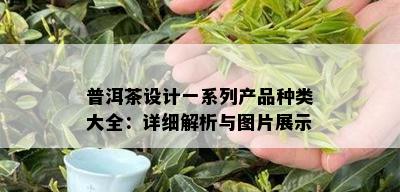 普洱茶设计一系列产品种类大全：详细解析与图片展示