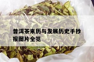 普洱茶来历与发展历史手抄报图片全览