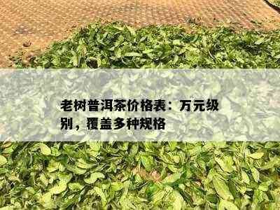 老树普洱茶价格表：万元级别，覆盖多种规格