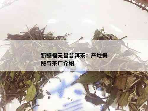 新疆福元昌普洱茶：产地揭秘与茶厂介绍