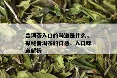 普洱茶入口的味道是什么，探秘普洱茶的口感：入口味道解析