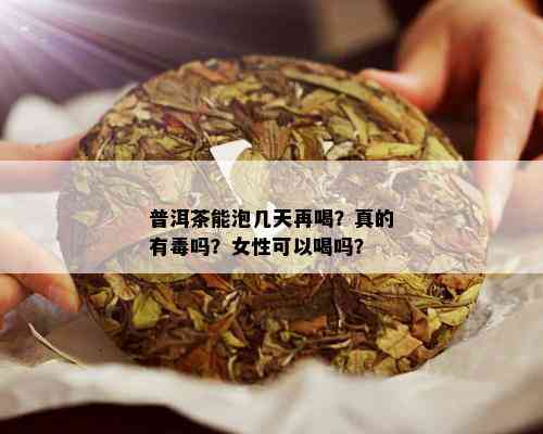 普洱茶能泡几天再喝？真的有吗？女性可以喝吗？