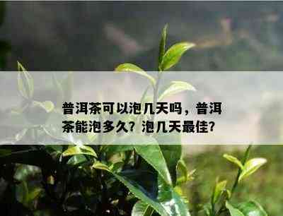 普洱茶可以泡几天吗，普洱茶能泡多久？泡几天更佳？