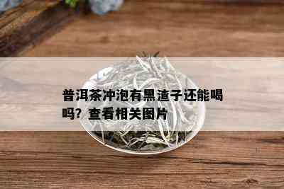 普洱茶冲泡有黑渣子还能喝吗？查看相关图片