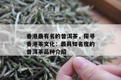 香港最有名的普洱茶，探寻香港茶文化：更具知名度的普洱茶品种介绍