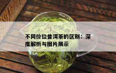 不同价位普洱茶的区别：深度解析与图片展示