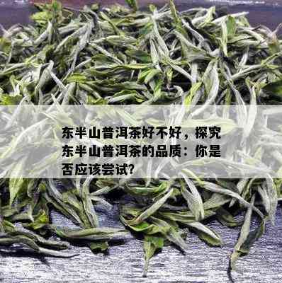 东半山普洱茶好不好，探究东半山普洱茶的品质：你是否应该尝试？