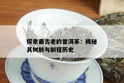 探索最古老的普洱茶：揭秘其树龄与制程历史