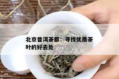 北京普洱茶都：寻找优质茶叶的好去处