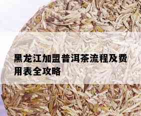 黑龙江加盟普洱茶流程及费用表全攻略