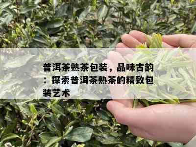 普洱茶熟茶包装，品味古韵：探索普洱茶熟茶的精致包装艺术