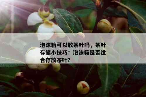 泡沫箱可以放茶叶吗，茶叶存储小技巧：泡沫箱是否适合存放茶叶？