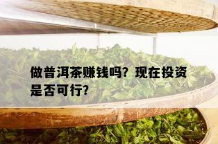 做普洱茶赚钱吗？现在投资是否可行？