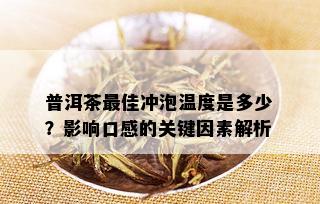 普洱茶更佳冲泡温度是多少？影响口感的关键因素解析