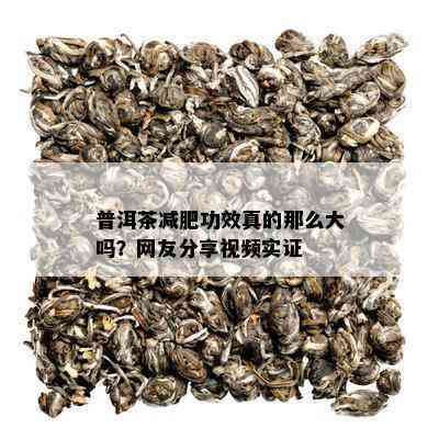 普洱茶减肥功效真的那么大吗？网友分享视频实证