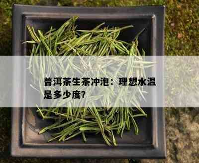 普洱茶生茶冲泡：理想水温是多少度？