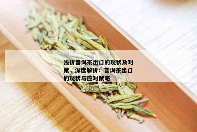 浅析普洱茶出口的现状及对策，深度解析：普洱茶出口的现状与应对策略