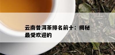 云南普洱茶排名前十：揭秘更受欢迎的