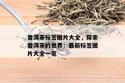 普洱茶标签图片大全，探索普洱茶的世界：最新标签图片大全一览