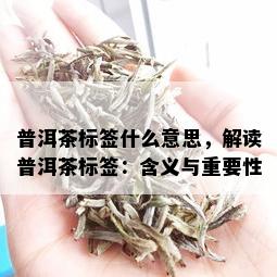 普洱茶标签什么意思，解读普洱茶标签：含义与重要性