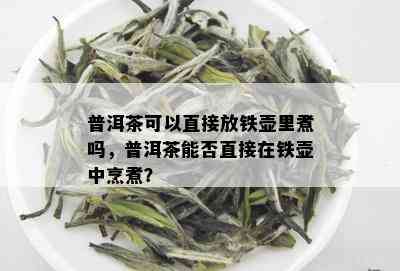 普洱茶可以直接放铁壶里煮吗，普洱茶能否直接在铁壶中烹煮？