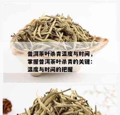 普洱茶叶杀青温度与时间，掌握普洱茶叶杀青的关键：温度与时间的把握