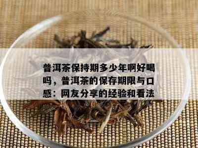 普洱茶保持期多少年啊好喝吗，普洱茶的保存期限与口感：网友分享的经验和看法