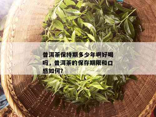 普洱茶保持期多少年啊好喝吗，普洱茶的保存期限和口感如何？