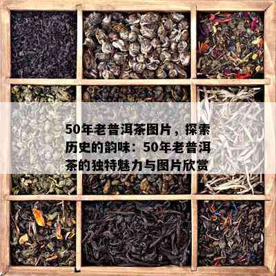 50年老普洱茶图片，探索历史的韵味：50年老普洱茶的独特魅力与图片欣赏