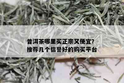 普洱茶哪里买正宗又便宜？推荐几个信誉好的购买平台