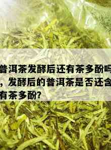 普洱茶发酵后还有茶多酚吗，发酵后的普洱茶是否还含有茶多酚？