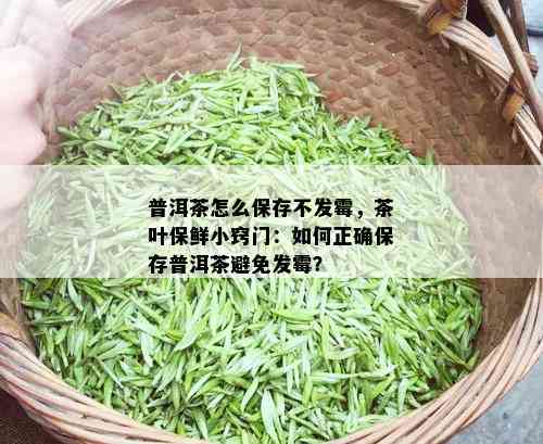 普洱茶怎么保存不发霉，茶叶保鲜小窍门：如何正确保存普洱茶避免发霉？