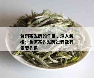 普洱茶发酵的作用，深入解析：普洱茶的发酵过程及其重要作用