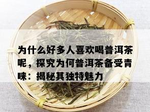 为什么好多人喜欢喝普洱茶呢，探究为何普洱茶备受青睐：揭秘其独特魅力